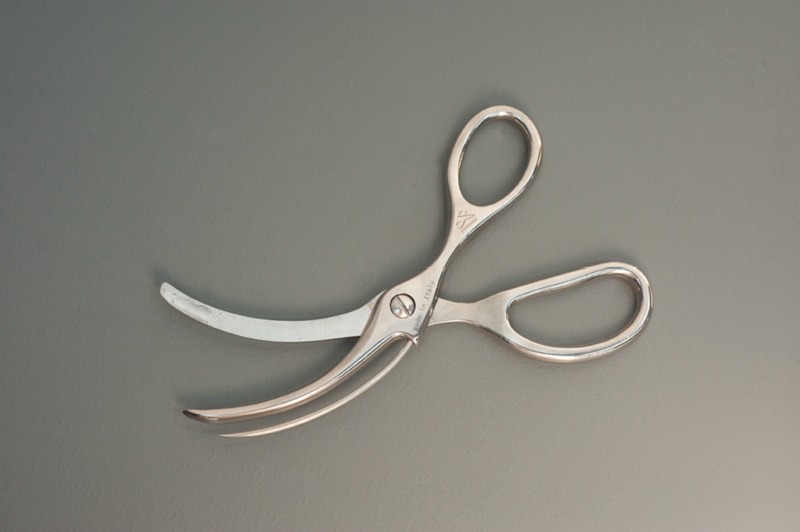 Fischschere Premana 2017